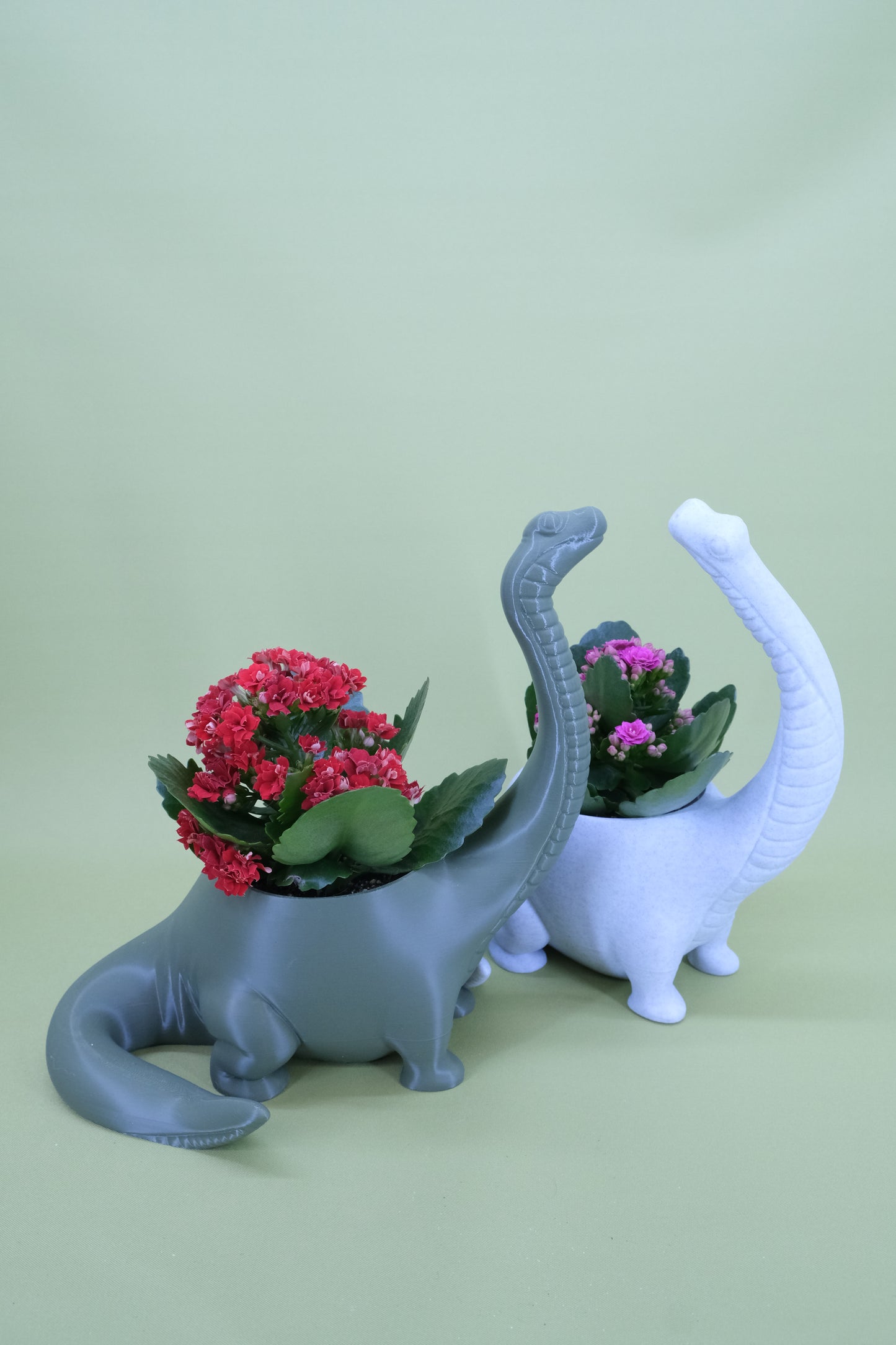 Brachiosaurus Pflanzgefäß – dekorativer Übertopf in Dinosaurierform