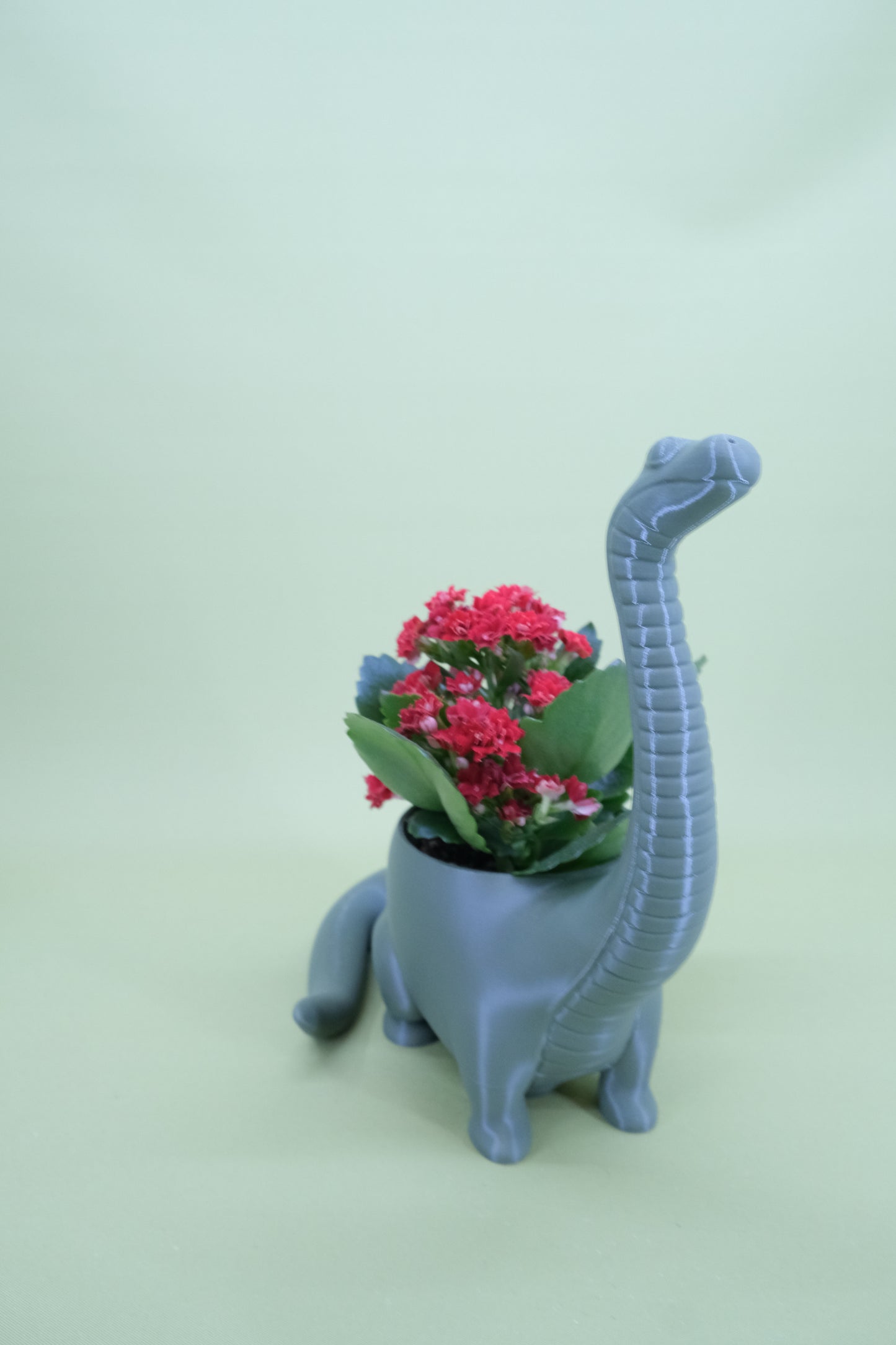 Brachiosaurus Pflanzgefäß – dekorativer Übertopf in Dinosaurierform