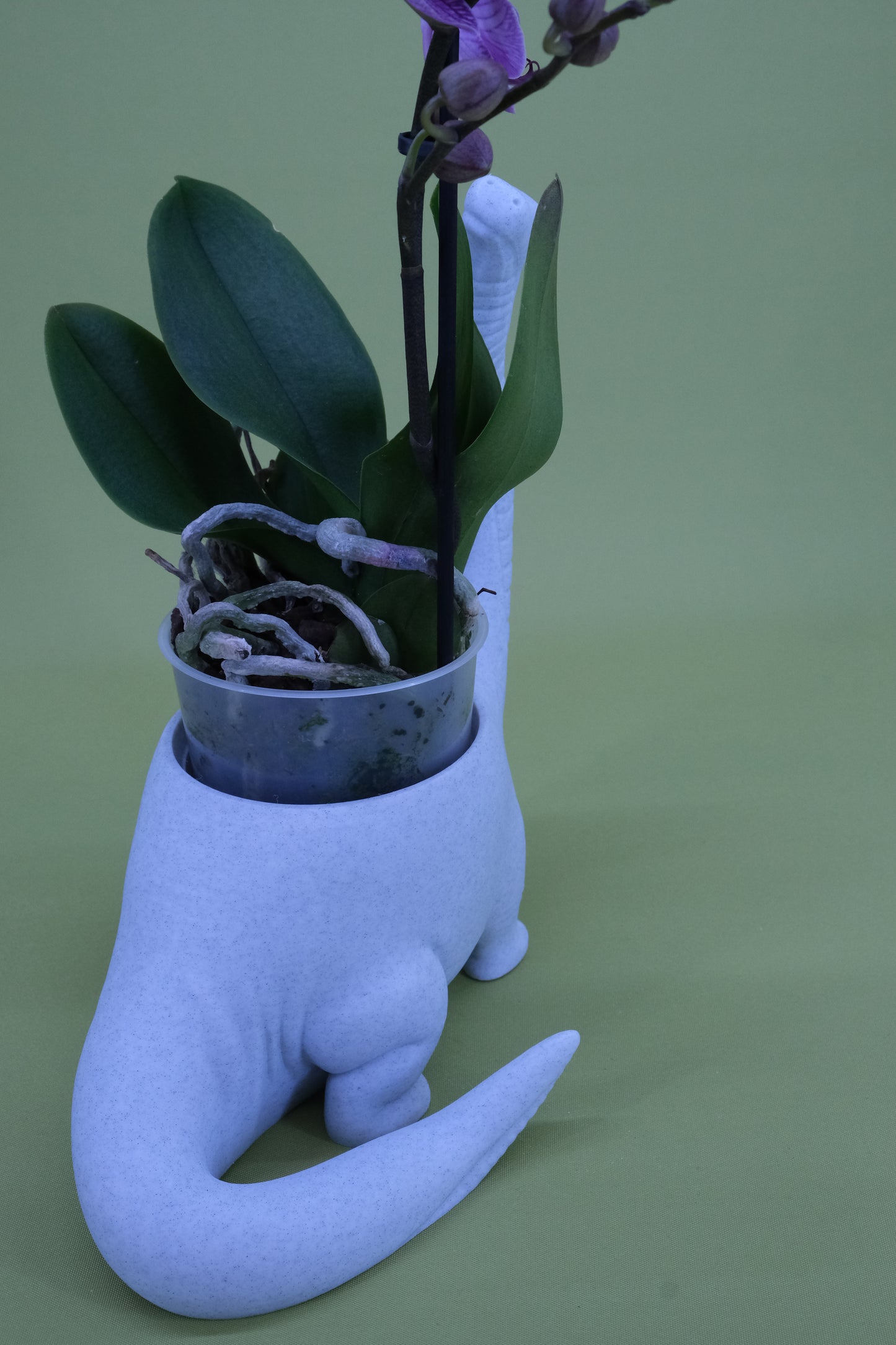 Brachiosaurus Pflanzgefäß II – verspielter Übertopf in Dinosaurierform