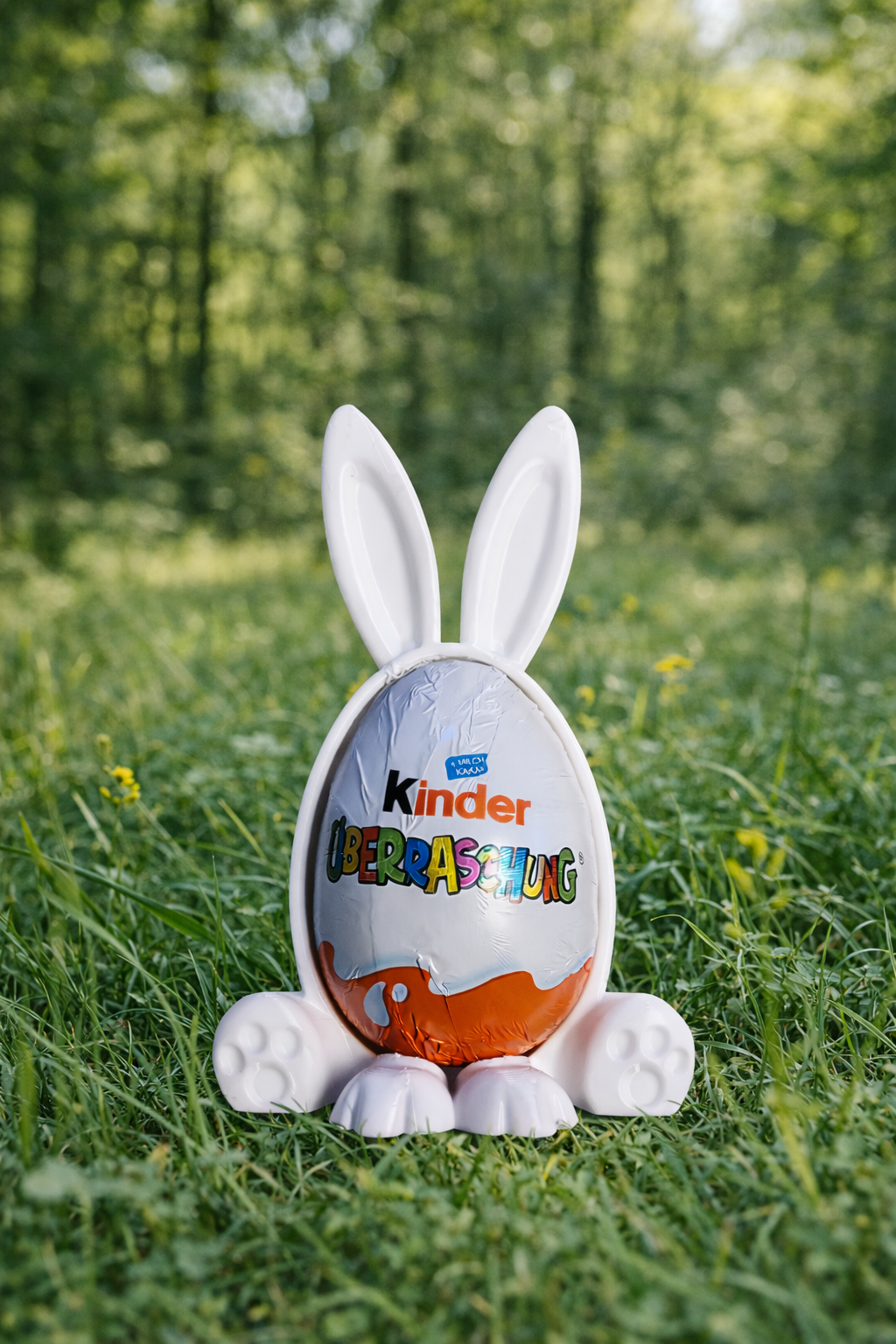 Eine Ü-Ei-Verpackung in Hasenform auf einer Wiese